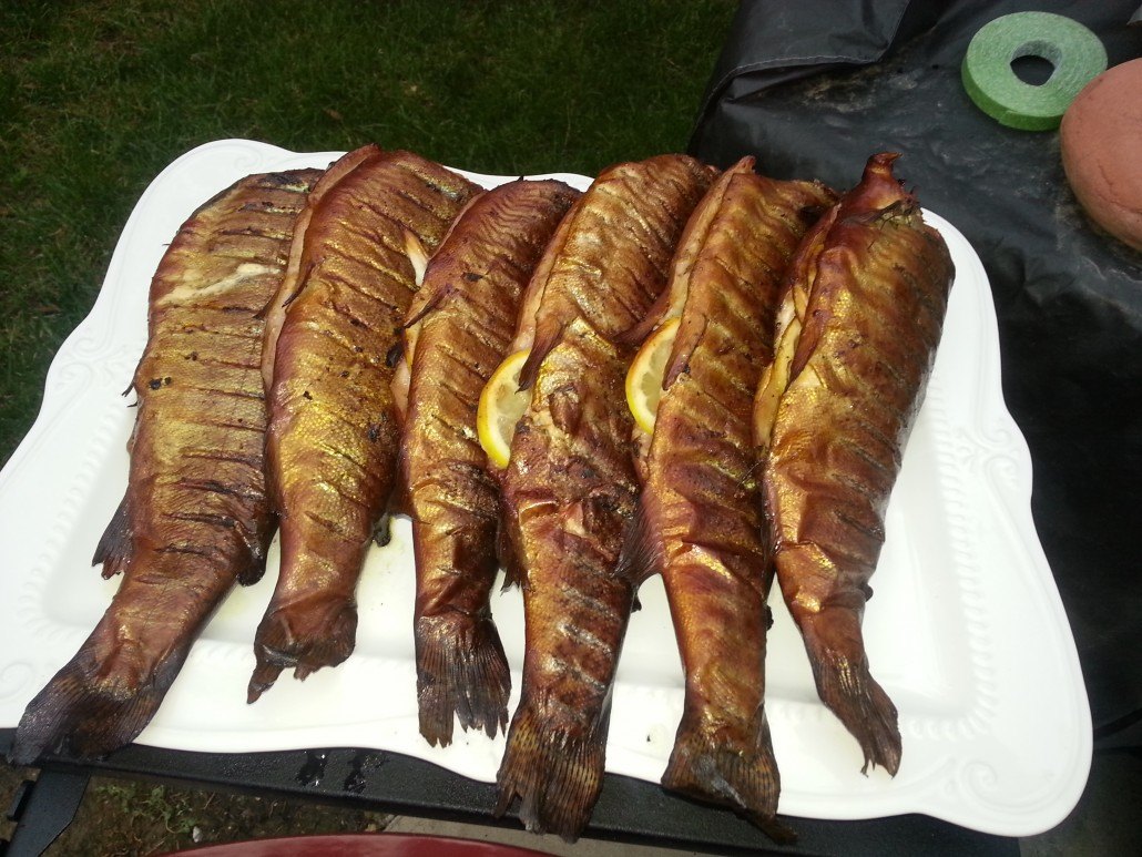 smoked-rainbow-trout-recipe-in-the-kamado-joe-ceramic-grill